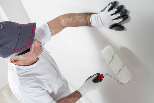 Upland, PA Mold Removal Company